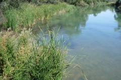 exp.-Senda-ecologica-del-Tajo