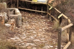Exp.-Mirador-y-Fuente-del-Escurrizo