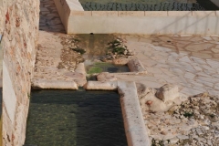 Exp.-Fuente-del-Canuelo-14