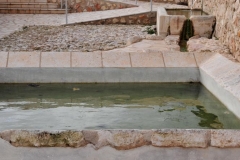 Exp.-Fuente-del-Canuelo