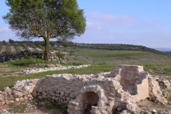 Yacimiento-de-Sta.-Maria