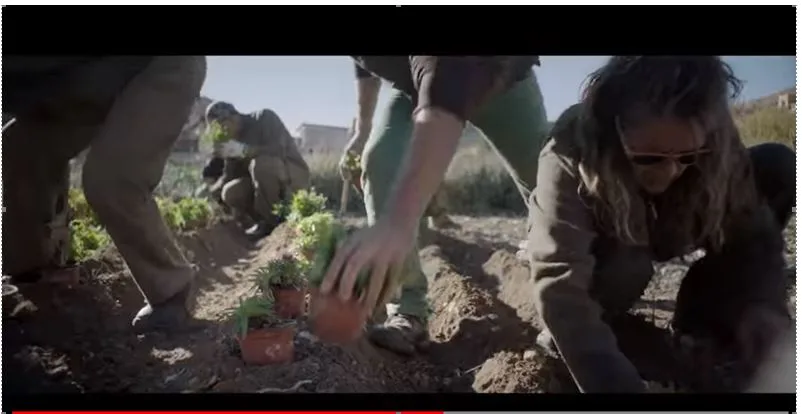 Fotograma del spot de ARACOVE