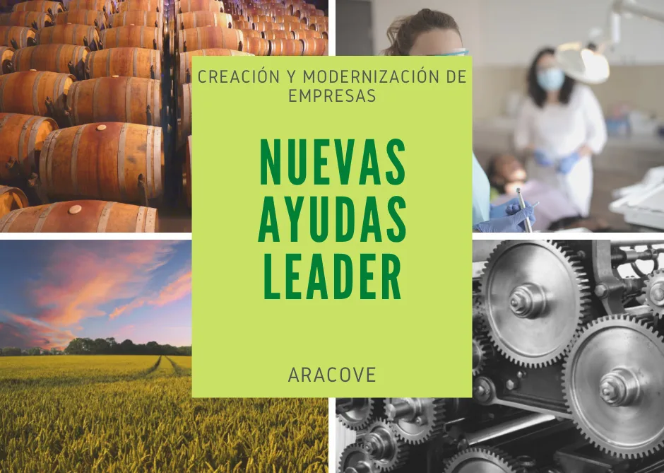 Cartel de convocatoria de ayudas LEADER
