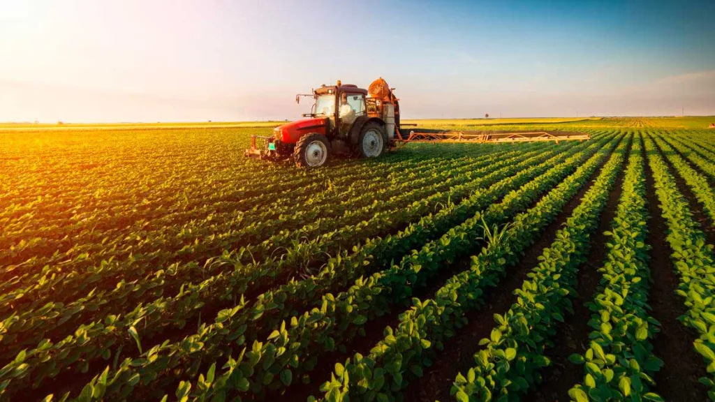 Campo agrícola