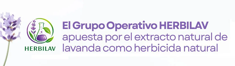 Proyecto HERBILAV